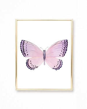 Watercolor Pink Butterfly Painting - Crenis pechueli butterfly - Art Print