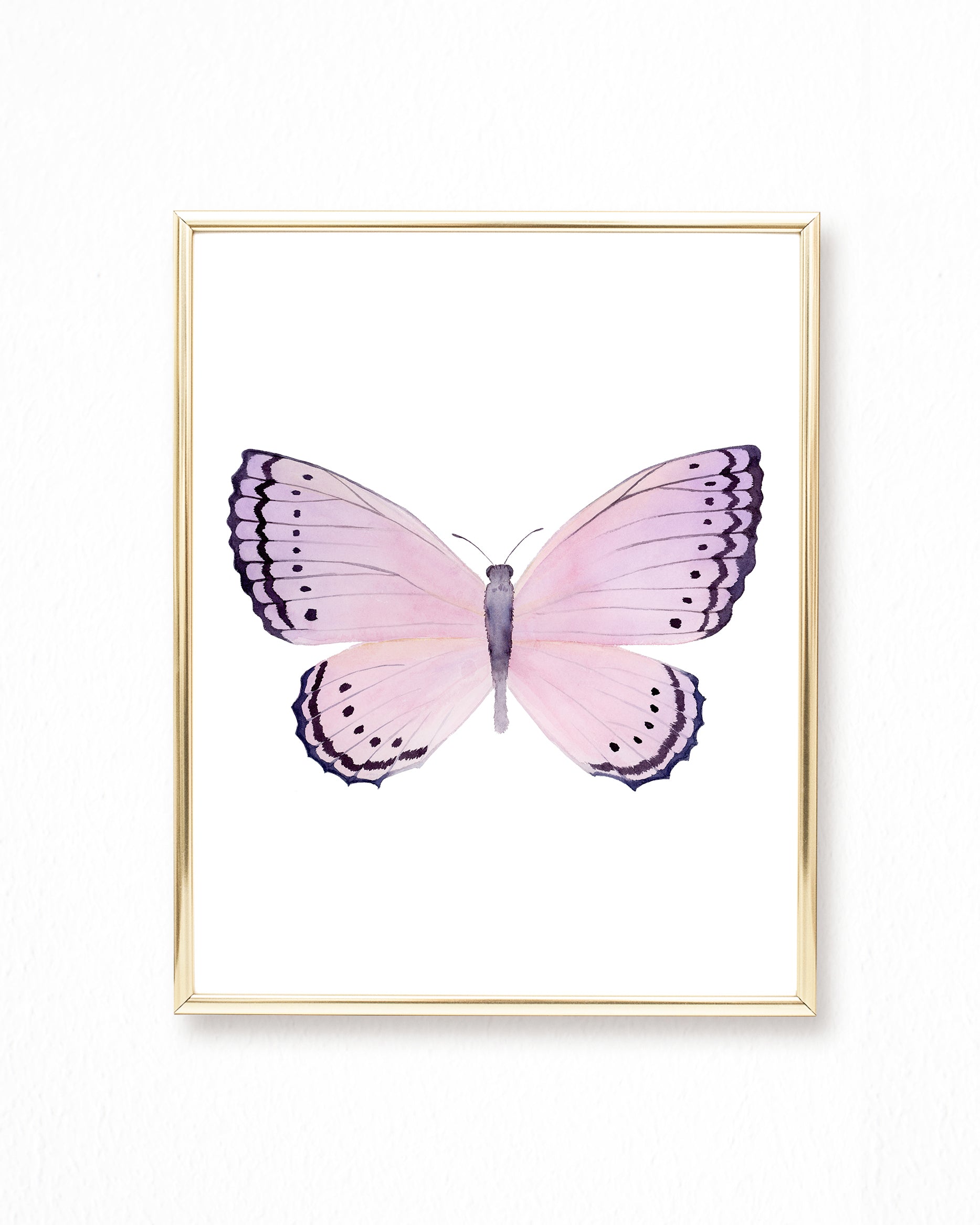 Watercolor Butterflies Paintings Collection - Set of 6