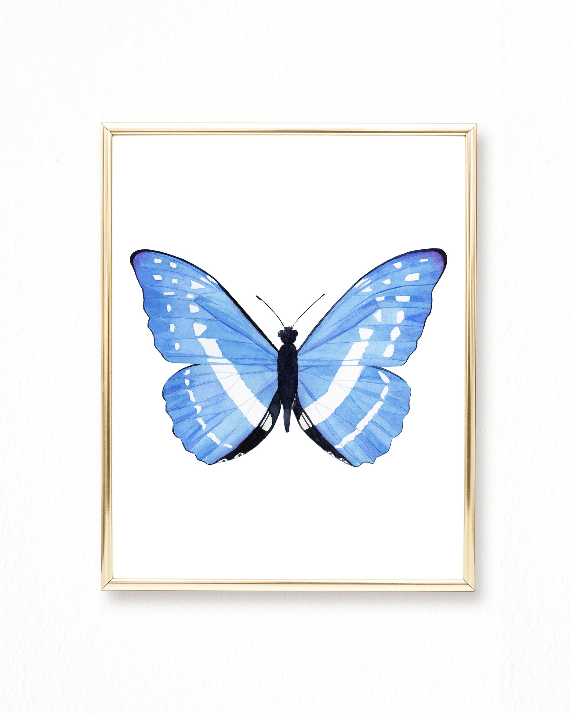 Watercolor Butterfly Paintings - Collection of 9 Art Prints