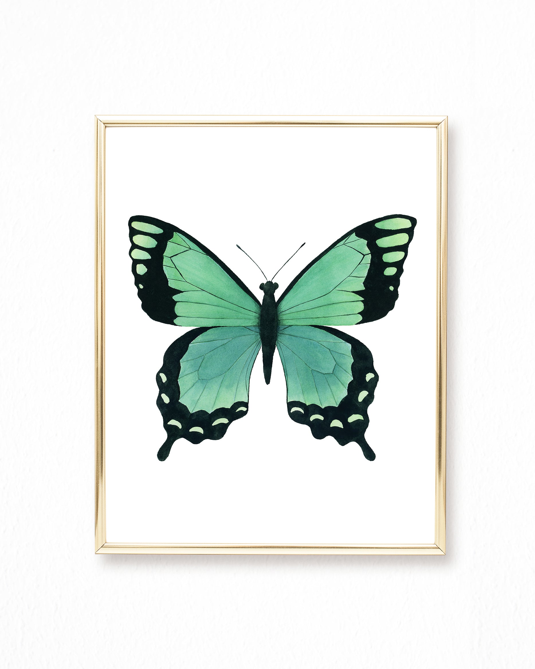 Watercolor Rainbow Butterfly Paintings - Set of 4