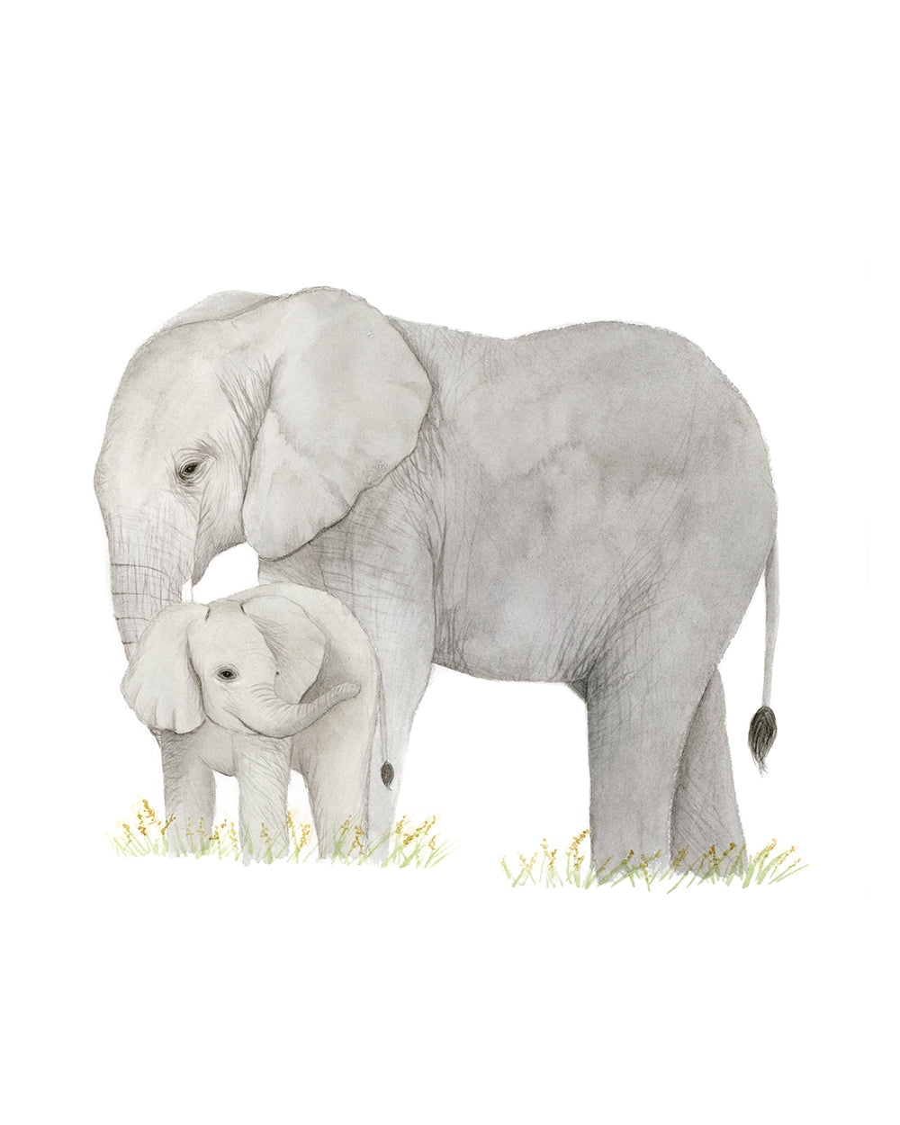 Elephant Watercolor Painting - Art Print