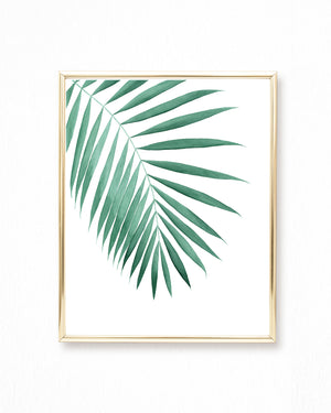 Tropical Palm Leaf Watercolor Painting - Art Print