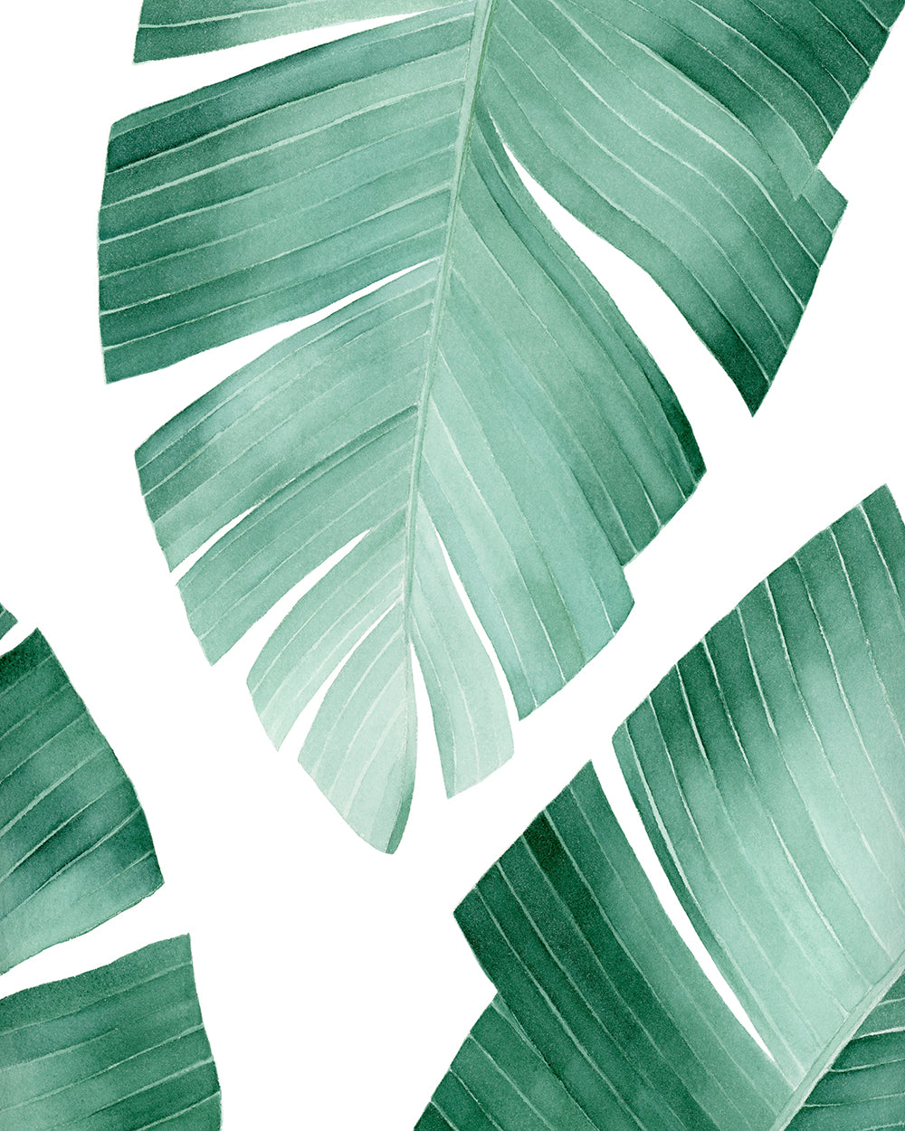 Tropical Banana Leaf Watercolor Painting - Art Print