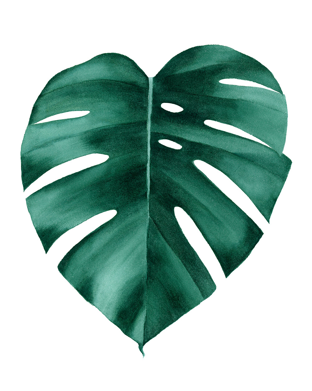 Tropical Monstera Leaf Watercolor Painting - Art Print
